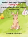 The Big Fire cover