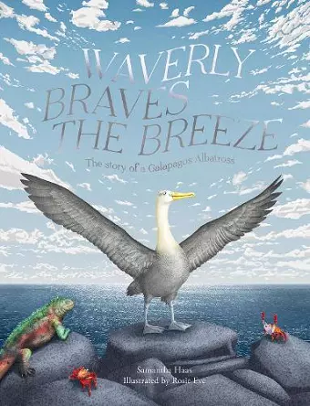 Waverly Braves the Breeze cover