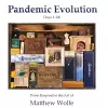 Pandemic Evolution cover