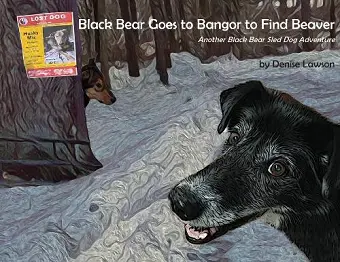 Black Bear Goes to Bangor to Find Beaver cover