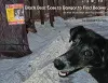 Black Bear Goes to Bangor to Find Beaver cover