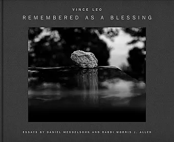 Vince Leo: Remembered as a Blessing cover