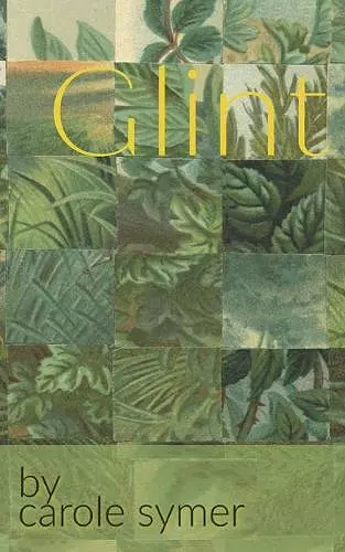 Glint cover