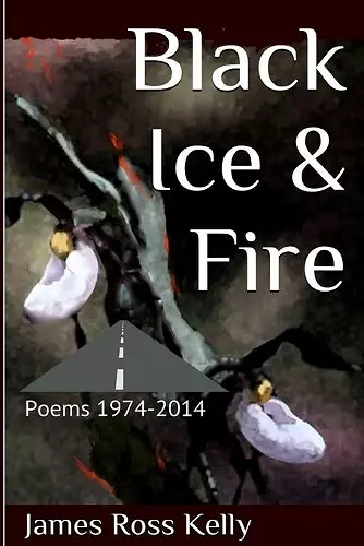 Black Ice & Fire cover