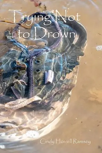 Trying Not to Drown cover