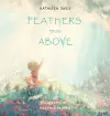 Feathers From Above cover