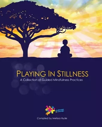 Playing in Stillness cover