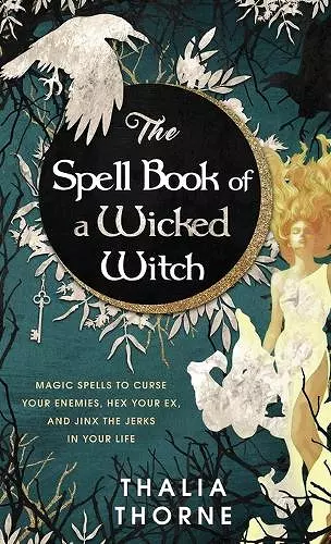 The Spell Book of a Wicked Witch cover