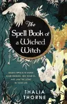 The Spell Book of a Wicked Witch cover