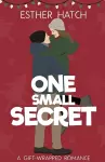 One Small Secret cover