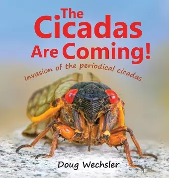 The Cicadas Are Coming! cover