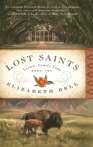 Lost Saints cover