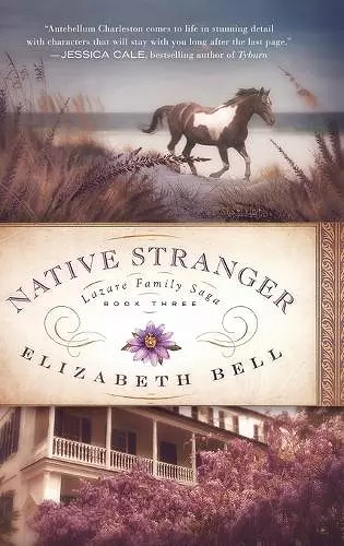 Native Stranger cover