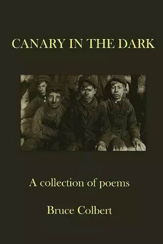 Canary in the Dark cover