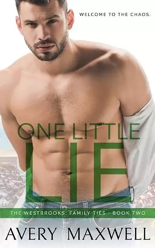 One Little Lie cover