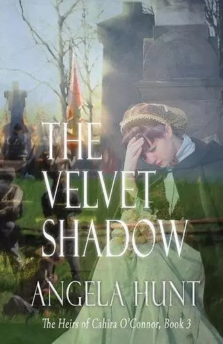 The Velvet Shadow cover