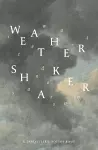 Weathershaker cover