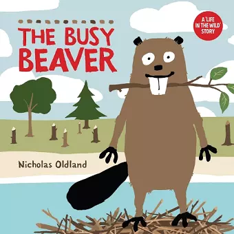 The Busy Beaver cover