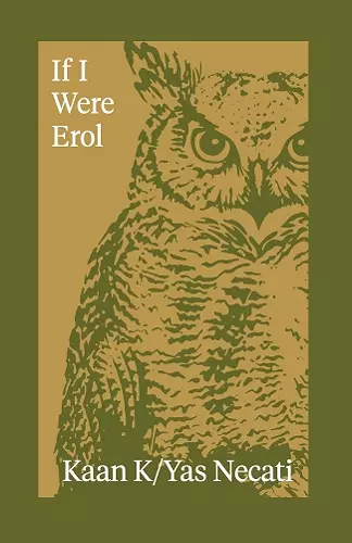 If I Were Erol cover