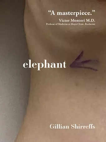Elephant cover