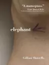 Elephant cover