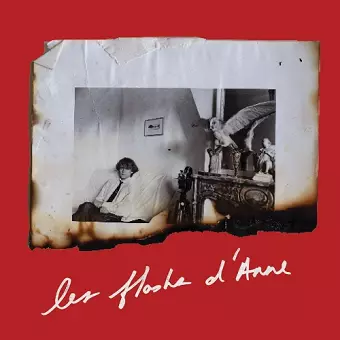 Anne Day: Les Flashes D'Anne cover