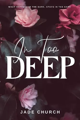 In Too Deep cover