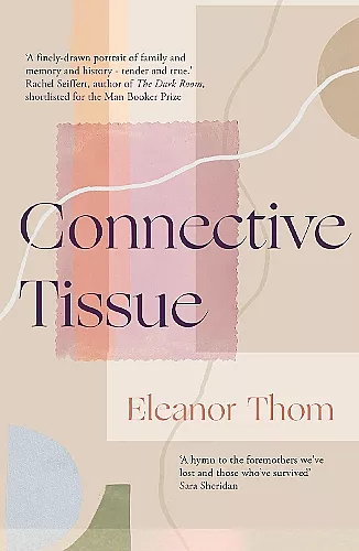 Connective Tissue cover