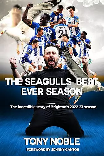 The Seagulls Best Ever Season cover