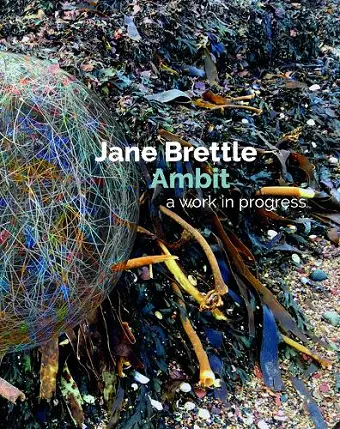 Ambit: a work in progress cover