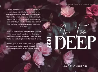 In Too Deep cover