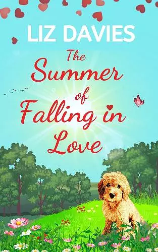 The Summer of Falling in Love cover