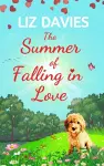 The Summer of Falling in Love cover
