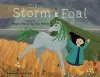 The Storm Foal cover