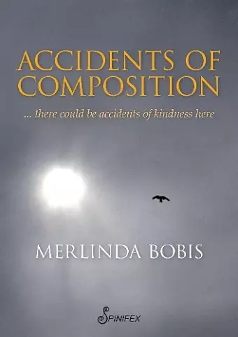 Accidents of Composition cover