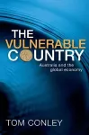 The Vulnerable Country cover