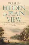 Hidden in Plain View cover