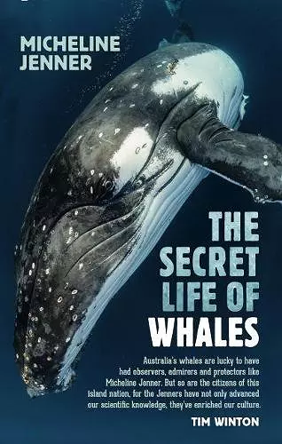 The Secret Life of Whales cover