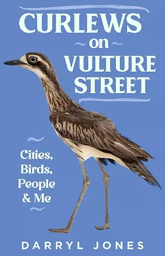 Curlews on Vulture Street cover