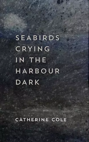 Seabirds Crying in the Harbour Dark cover