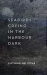 Seabirds Crying in the Harbour Dark cover