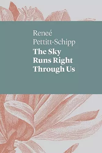 The Sky Runs Right Through Us cover