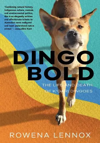 Dingo Bold cover