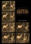 Animal Dreams cover