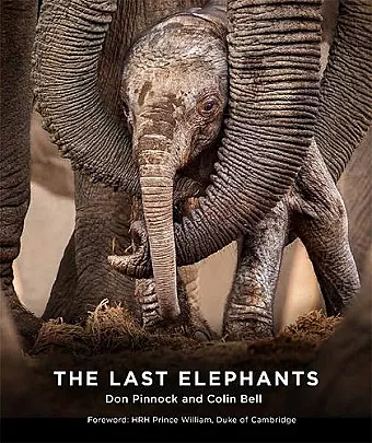 The Last Elephants cover