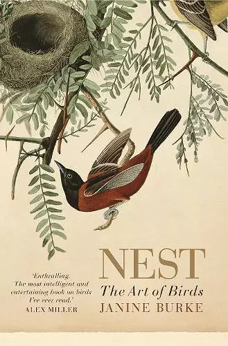 Nest cover