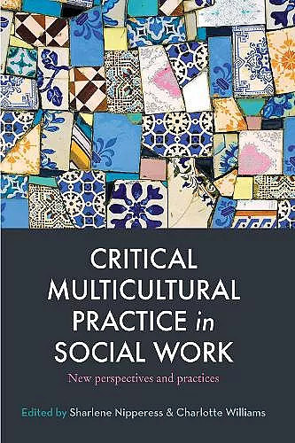 Critical Multicultural Practice in Social Work cover