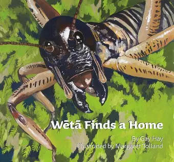 Weta Finds a Home cover