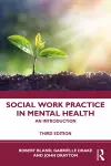 Social Work Practice in Mental Health cover