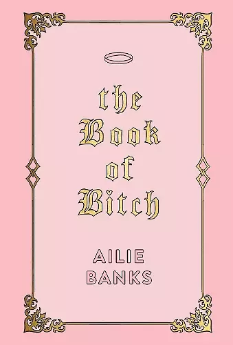 The Book of Bitch cover